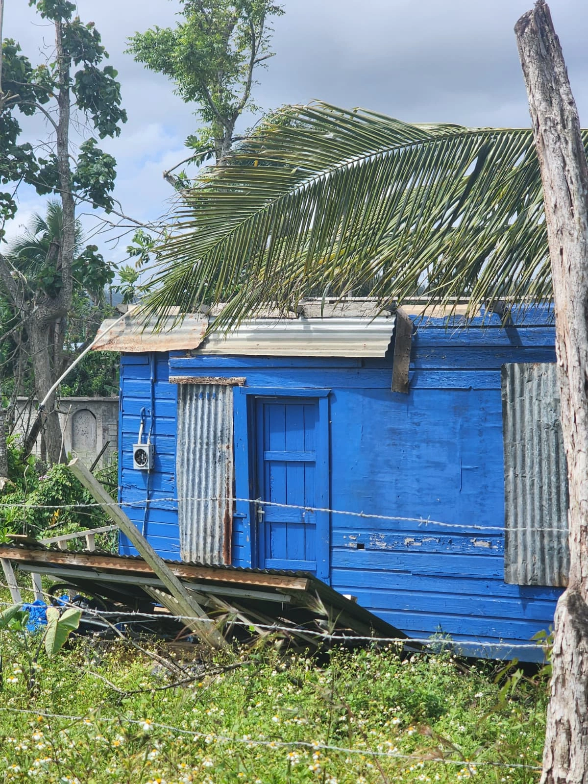 pATRICK sHIN & img ngo - hURRICANE mELLISSA (18)