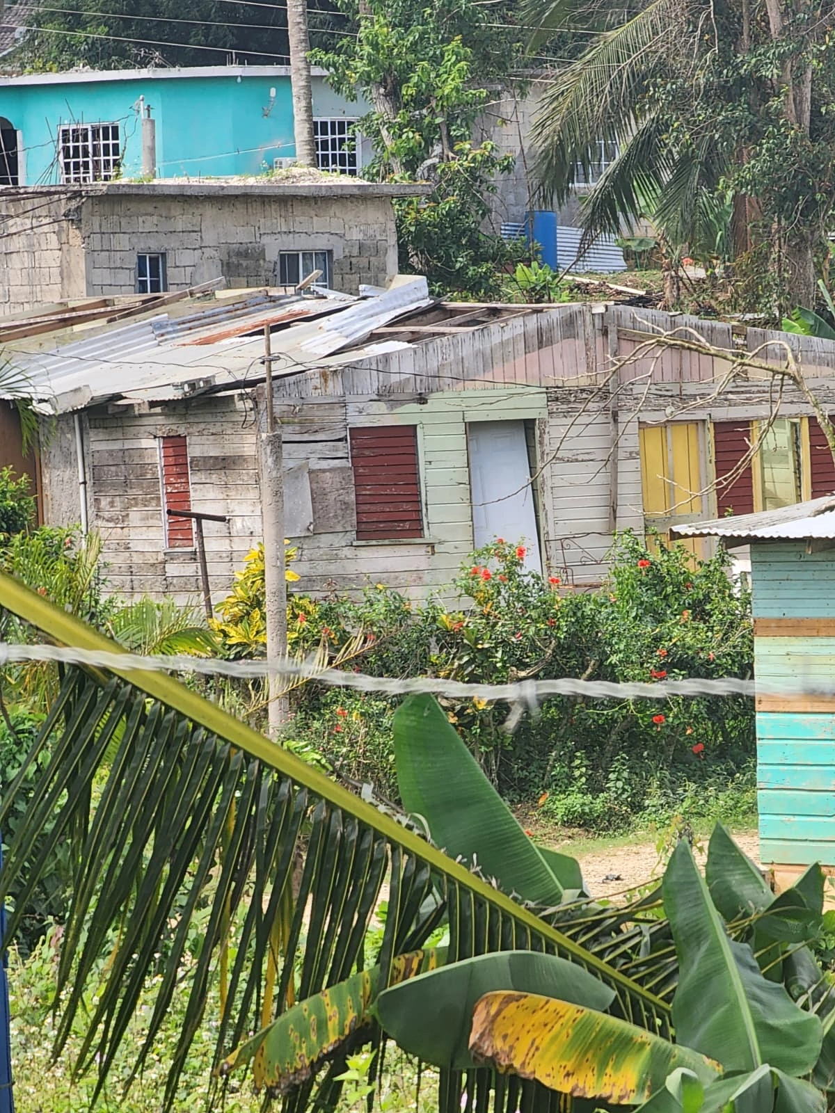 pATRICK sHIN & img ngo - hURRICANE mELLISSA (2)