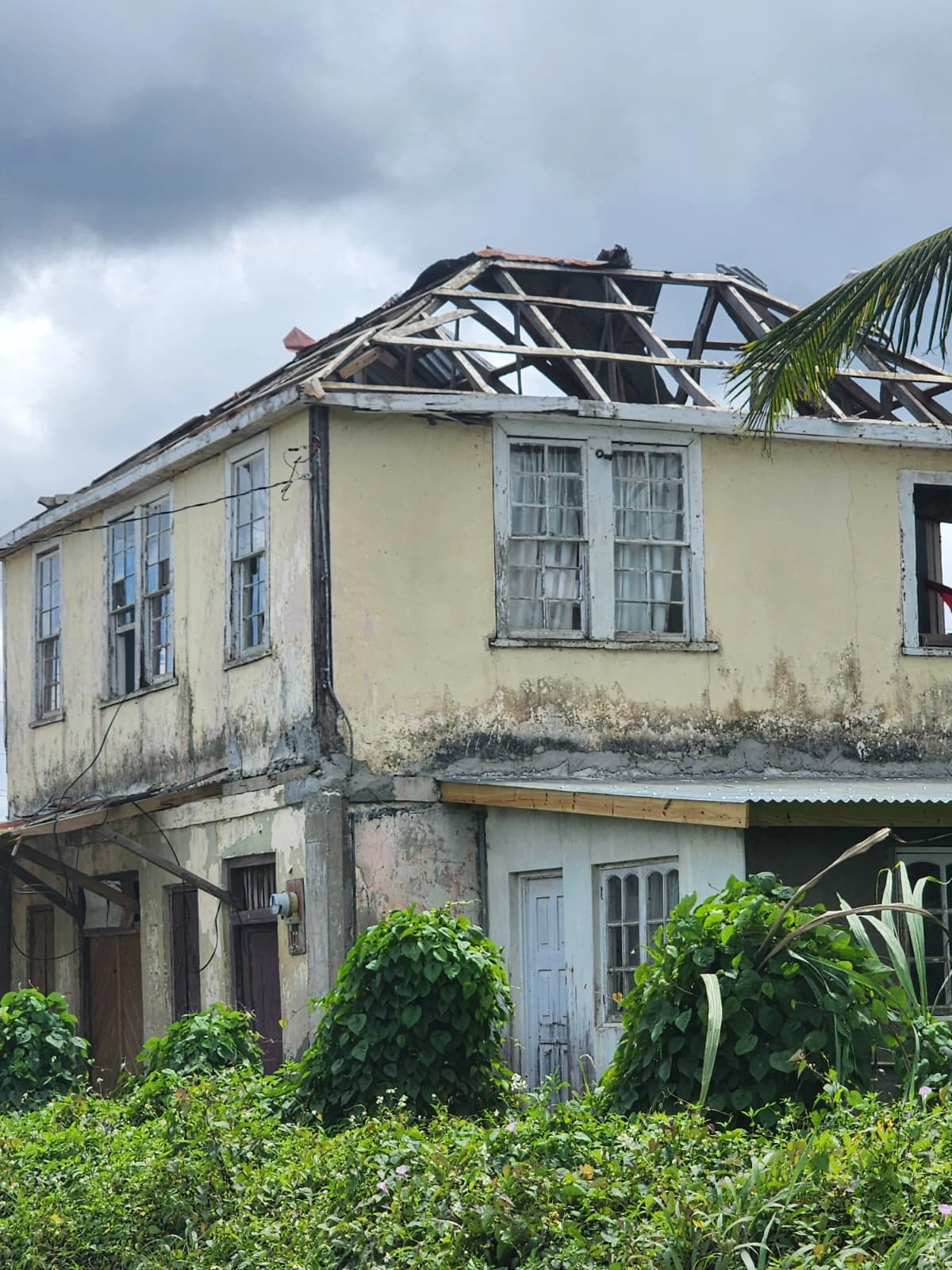 pATRICK sHIN & img ngo - hURRICANE mELLISSA (30)