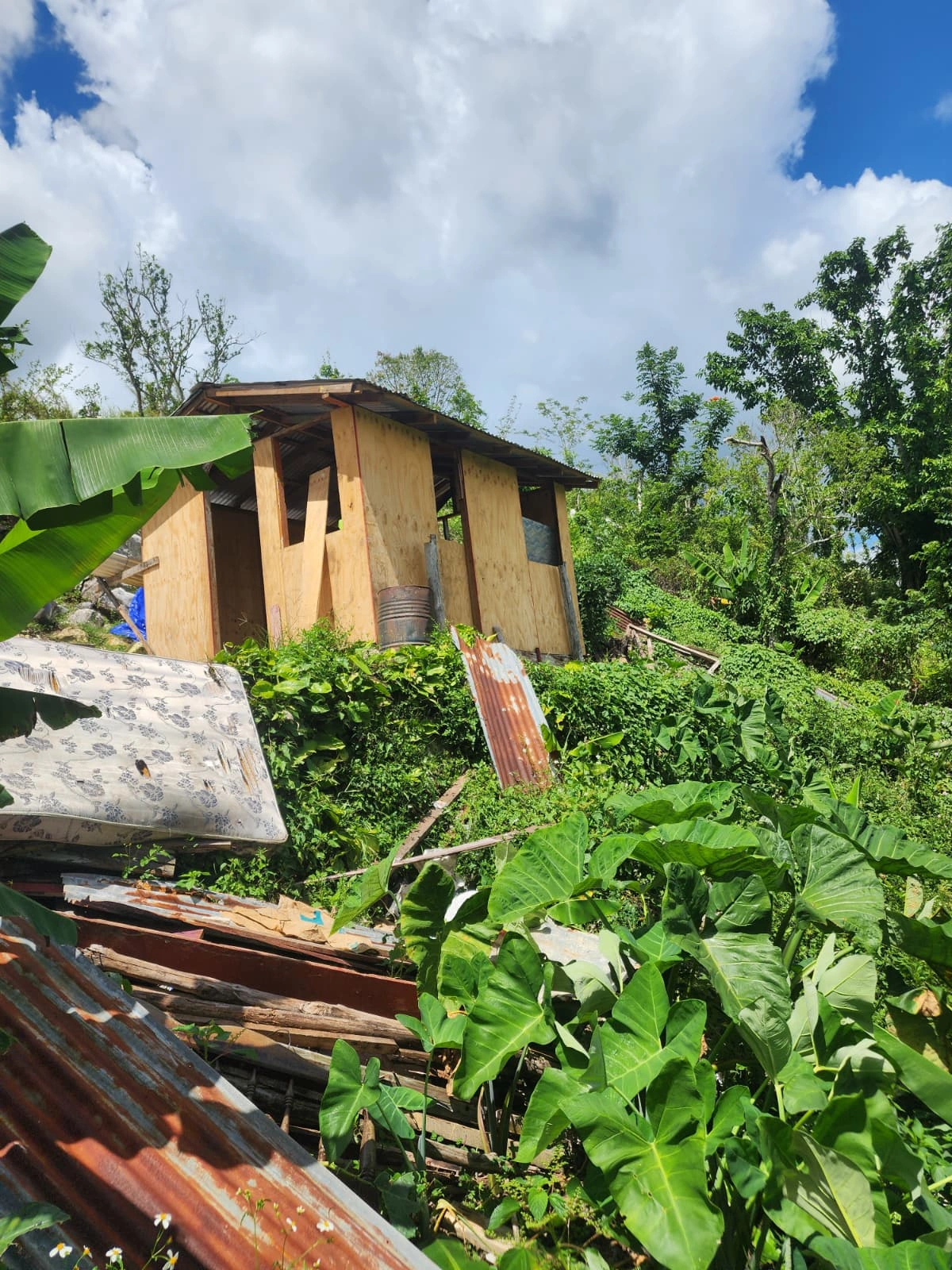 pATRICK sHIN & img ngo - hURRICANE mELLISSA (42)