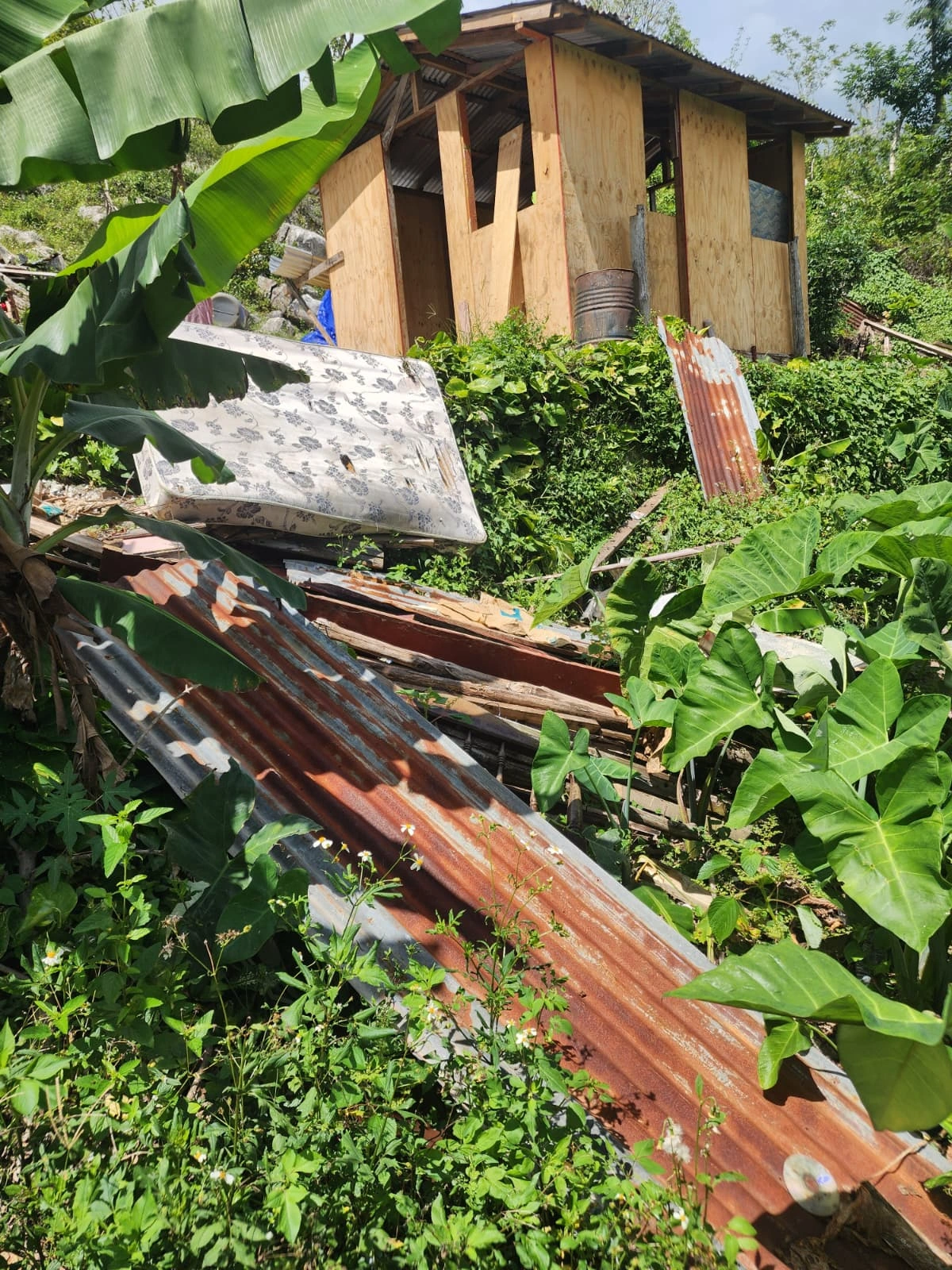 pATRICK sHIN & img ngo - hURRICANE mELLISSA (54)